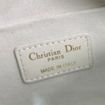Christian Dior Small Dior Caro Top Handle Camera Bag